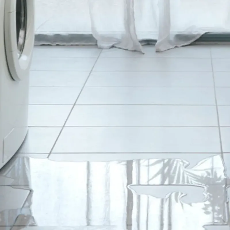 Appliance Leak Cleanup in Greenwood, SC