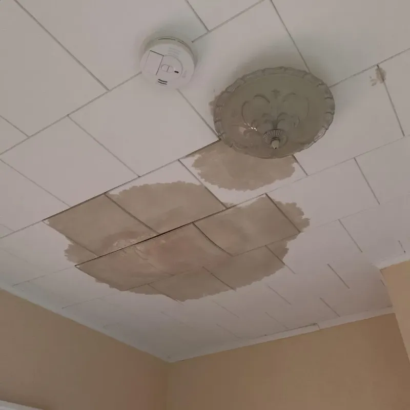 Ceiling Water Damage Repair in Greenwood, SC