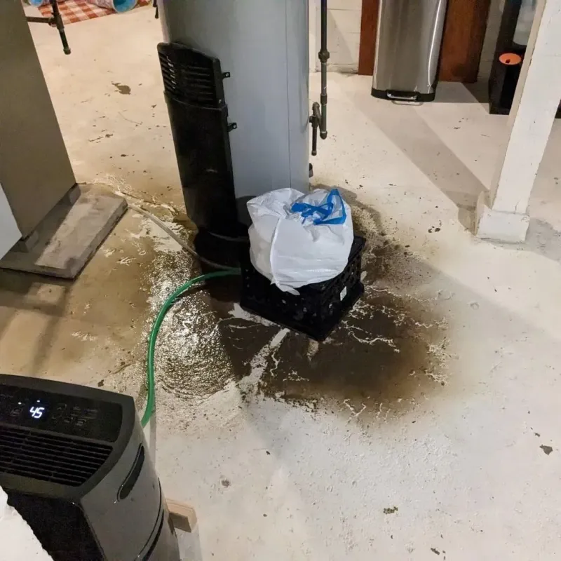 Sewage Backup Cleanup Service in Greenwood, SC